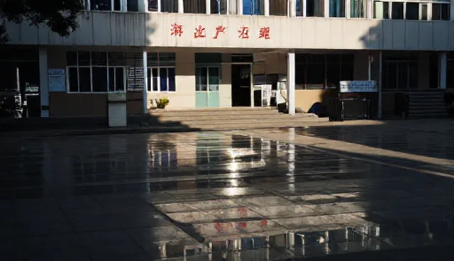 汽车救援服务中的检查要点与应用场景分析